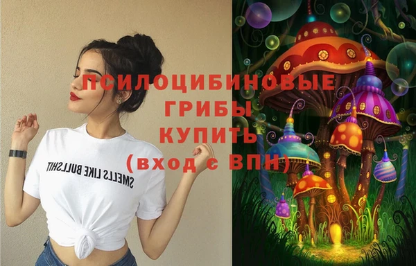 ПСИЛОЦИБИНОВЫЕ ГРИБЫ Нея