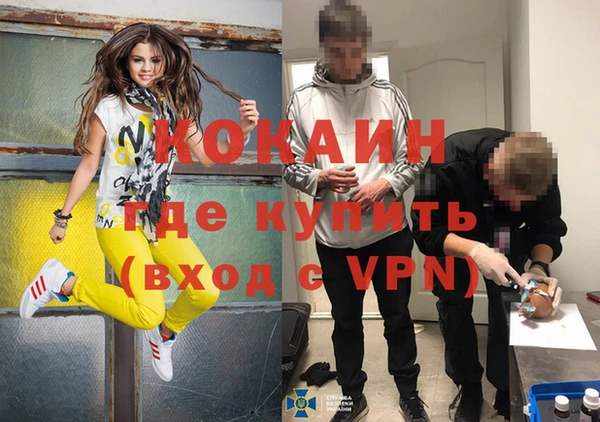 сатива Наволоки