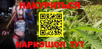 хмурый Бийск