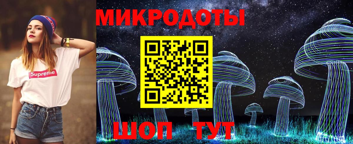 Галлюциногенные грибы Psilocybe Ялта